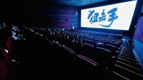 碑林区文艺路街道退役军人服务站组织开展优待证首发仪式及观影活动