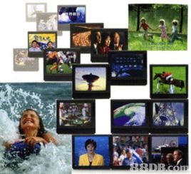 金马录影服务公司 专业电视节目与电影制作的全方位解决方案