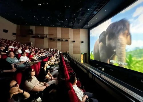 超有趣4D动画片《象之童话》在上海自然博物馆点映,开启文化艺术交流盛宴